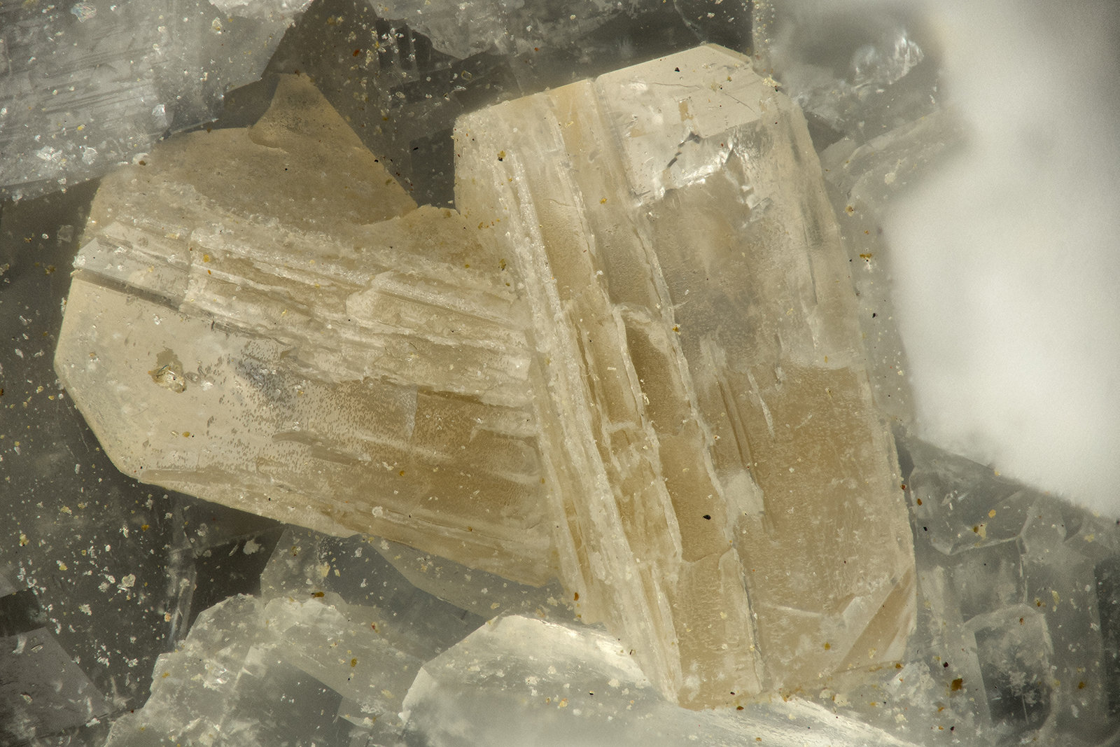 Fluorapophyllite-(K)
FOV = 1.8 mm
(Autor: Doug)