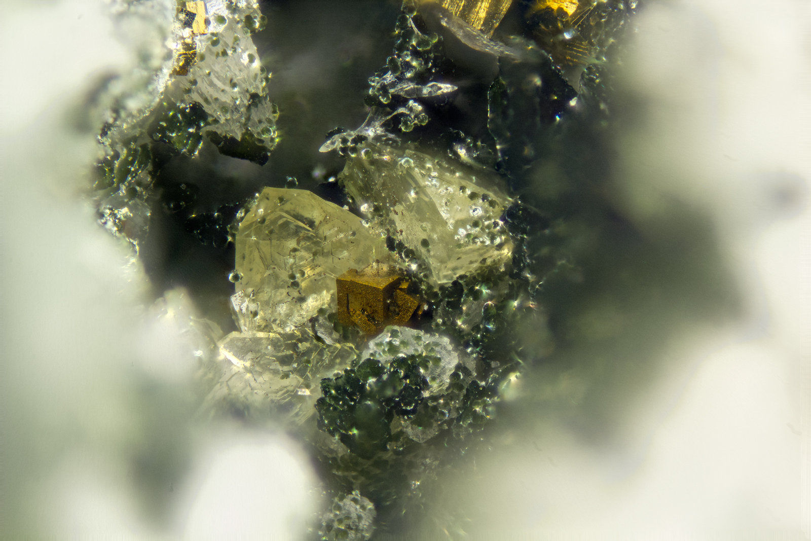 Daqingshanite-(Ce)
FOV = 2mm
(Autor: Doug)
