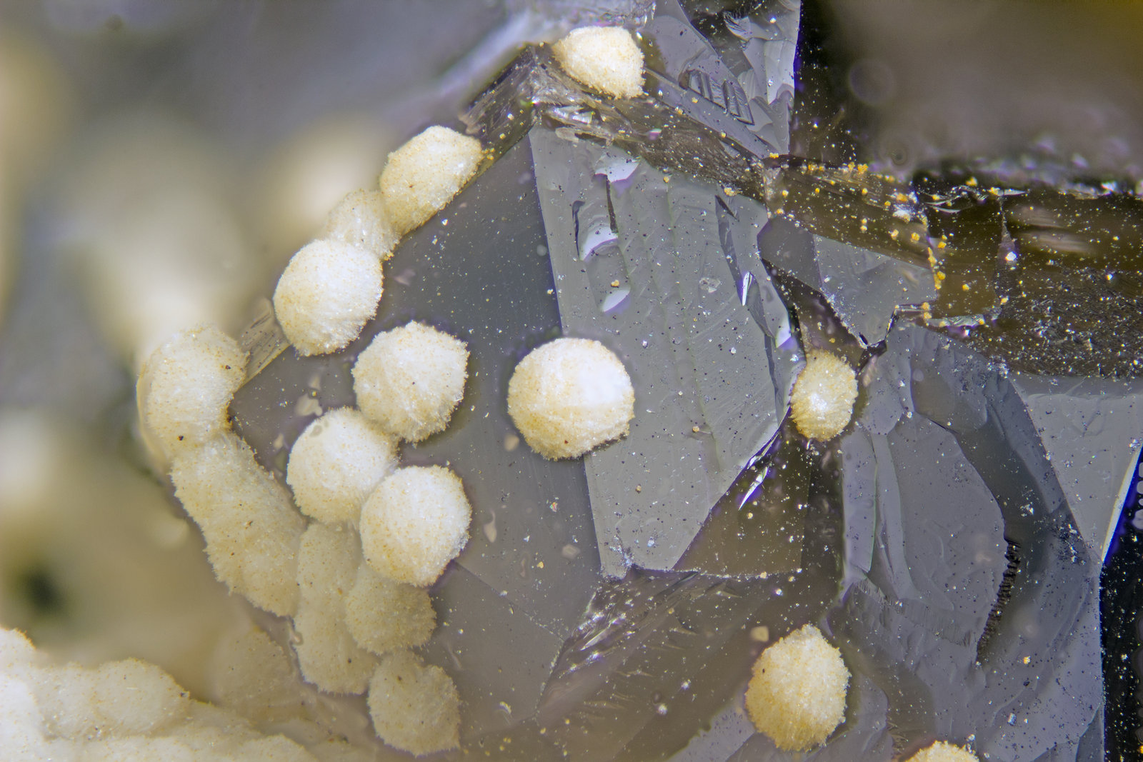 Epididymite, Quartz
FOV = 2mm
(Autor: Doug)