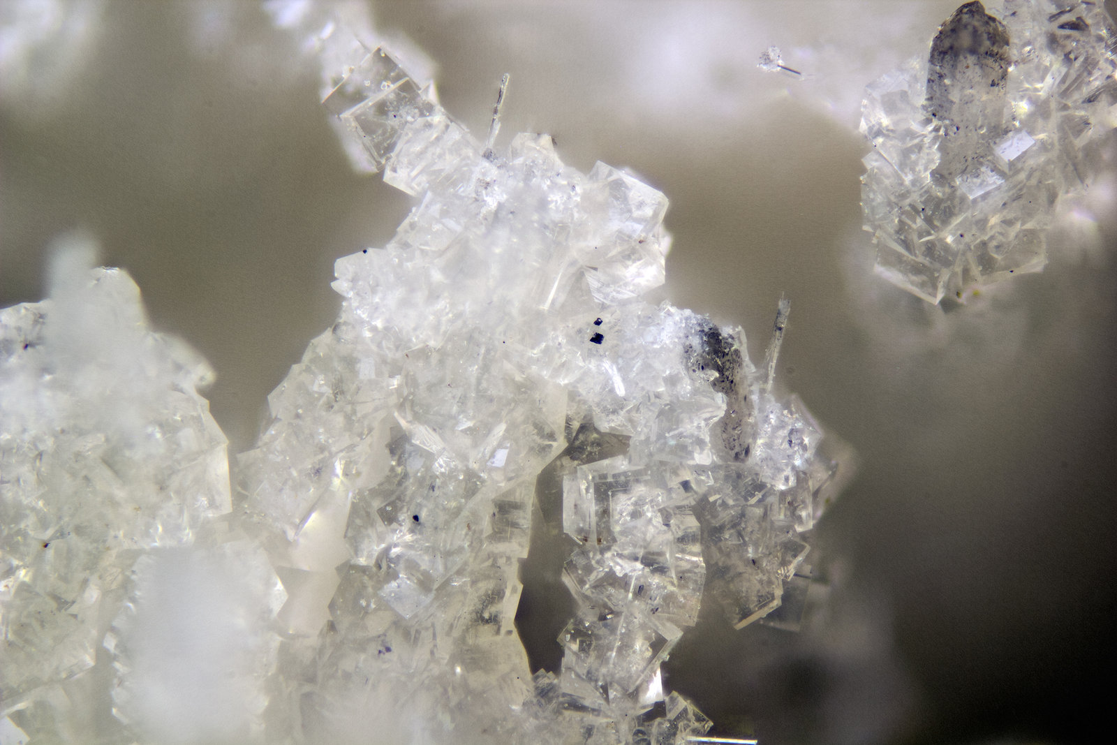 Fluorite, Elpidite
FOV = 2mm
(Autor: Doug)