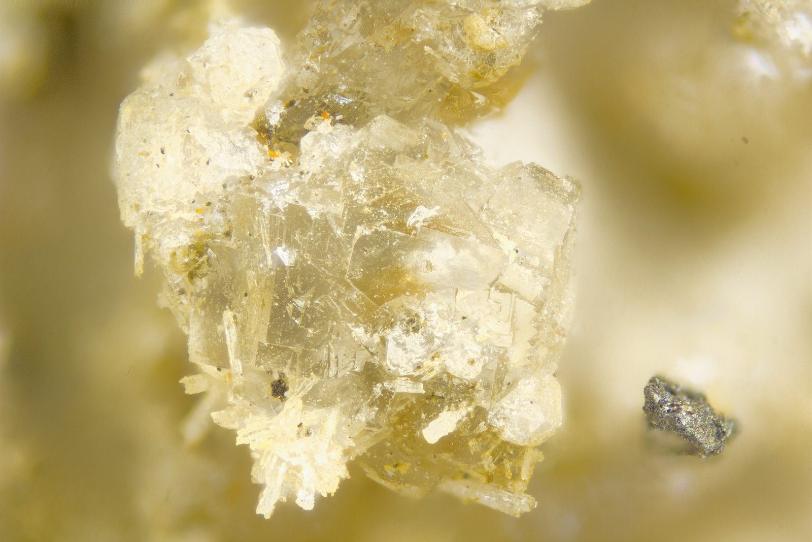Gaidonnayite
FOV = 2mm
(Autor: Doug)