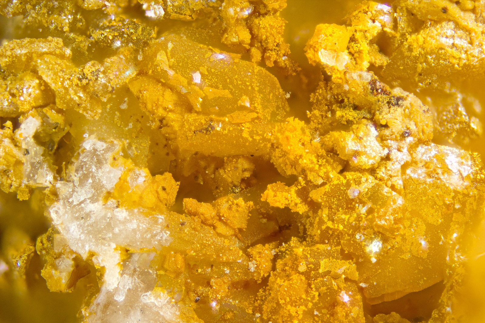 Jarosite
FOV = 2mm
(Autor: Doug)