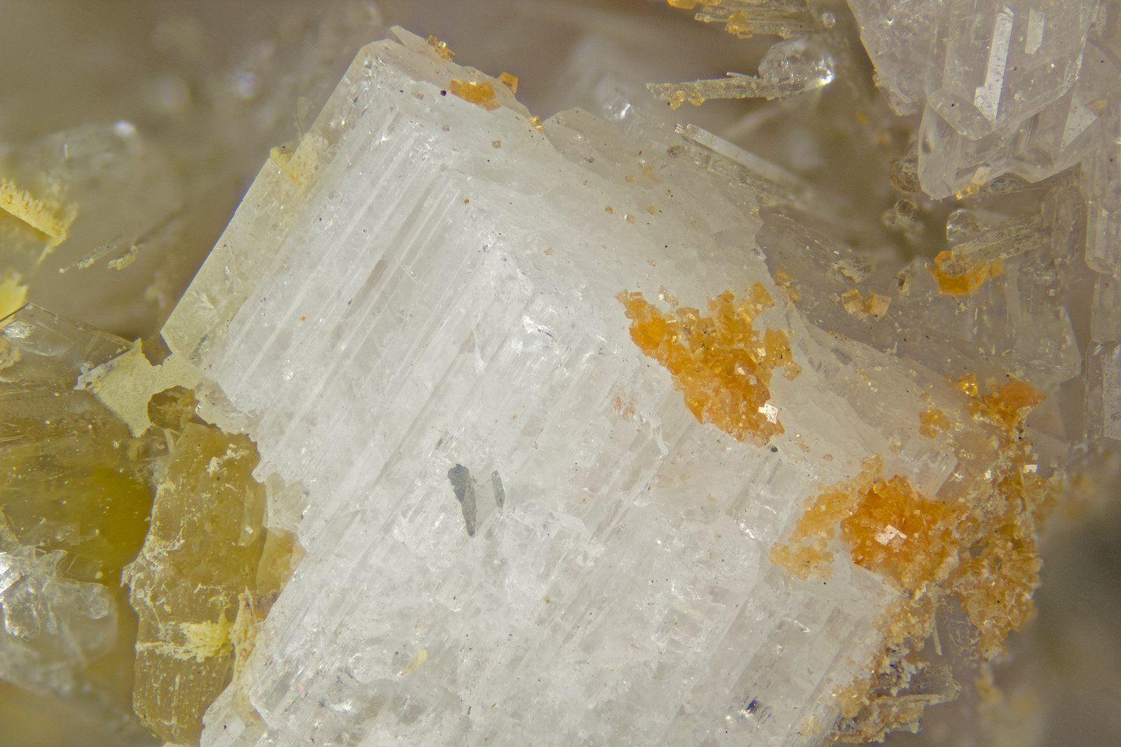 Leifite
FOV = 5mm
(Autor: Doug)