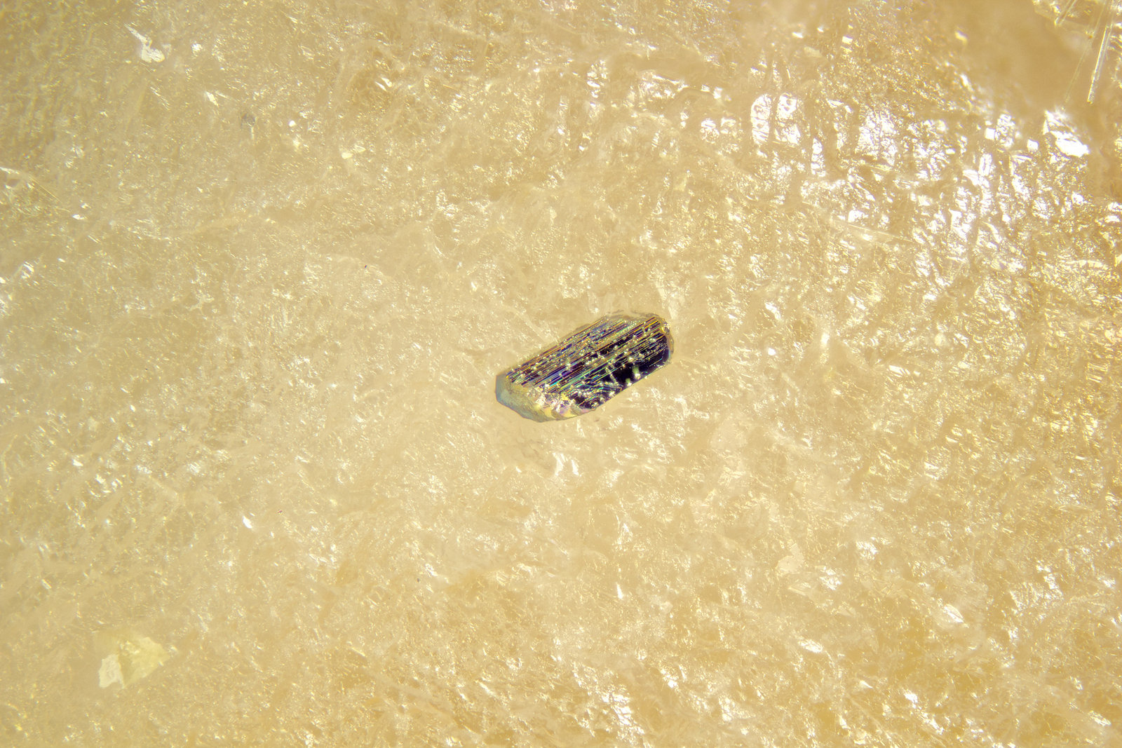 Lollingite
FOV = 2mm
(Autor: Doug)