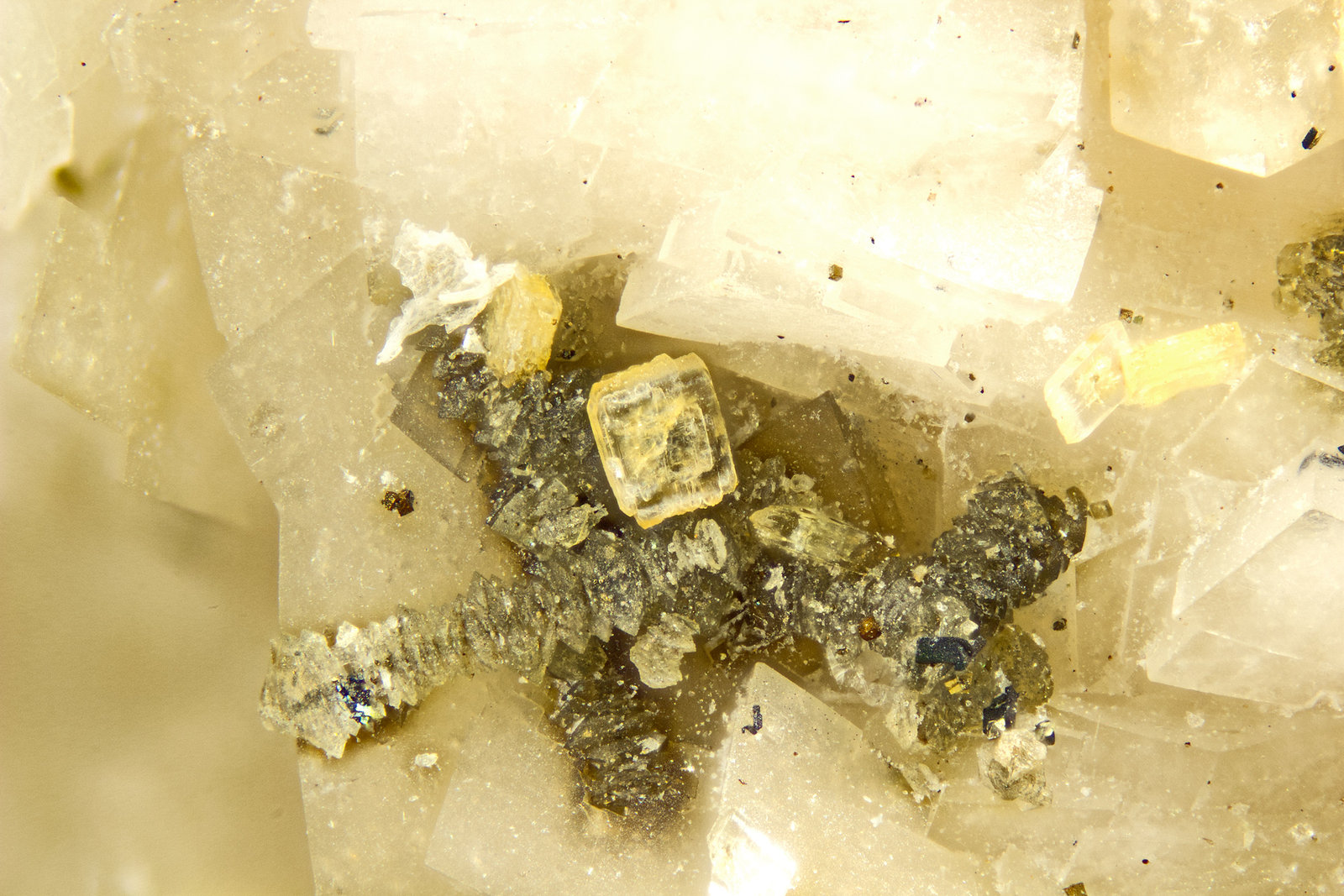 Nenadkevichite
FOV = 2mm
(Autor: Doug)