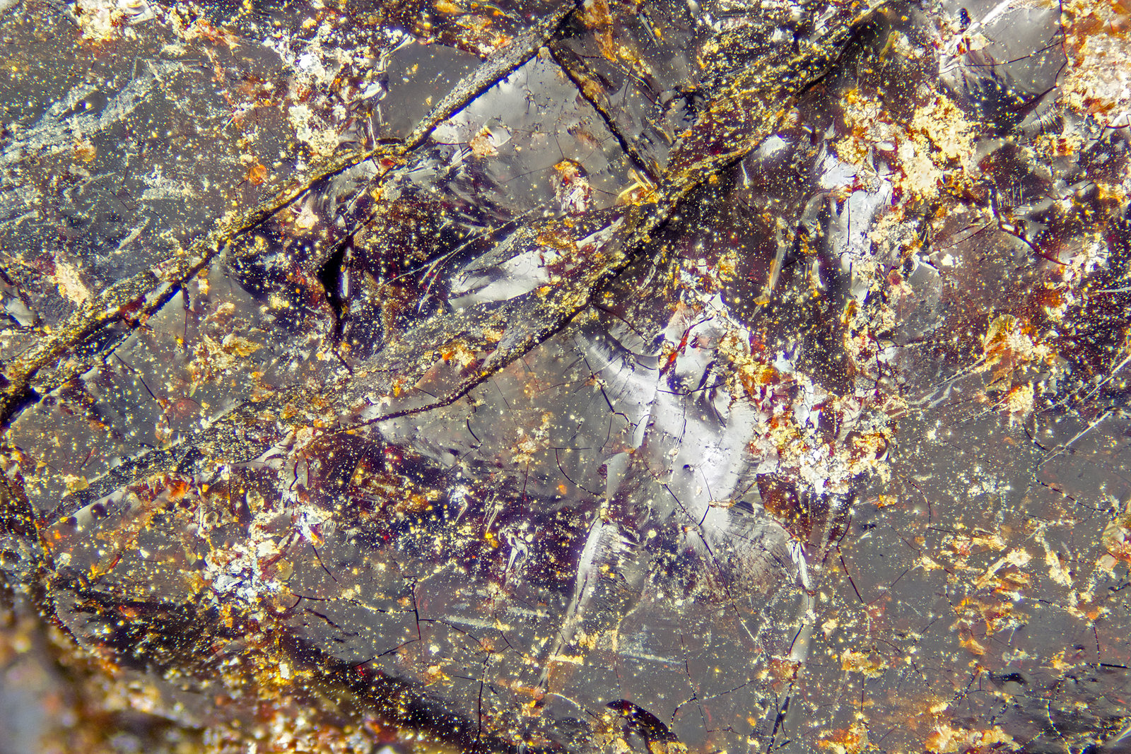 Neotocite
FOV = 4mm
(Autor: Doug)