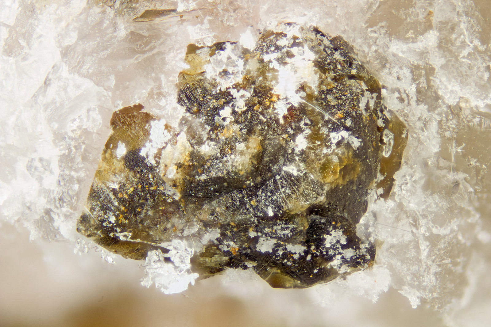 Terskite
FOV = 2mm
(Autor: Doug)