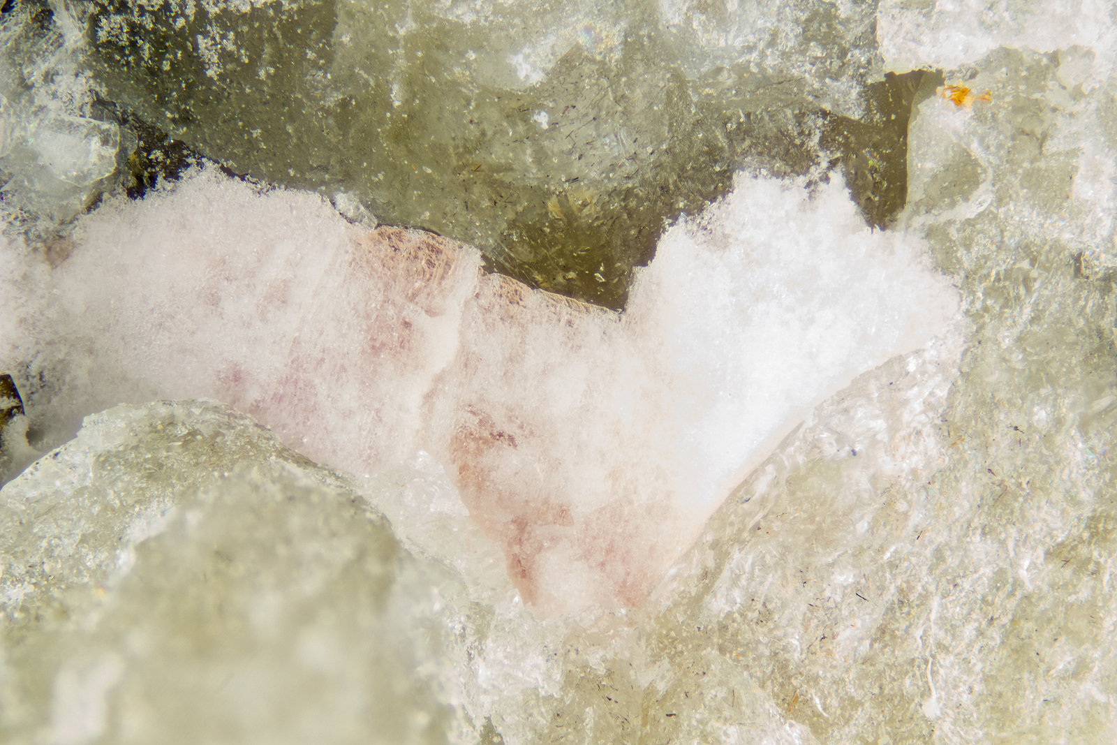 Tugtupite
FOV = 4mm
(Autor: Doug)