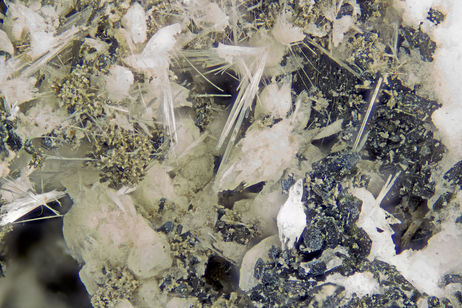 Vinogradovite
FOV = 4mm
(Autor: Doug)