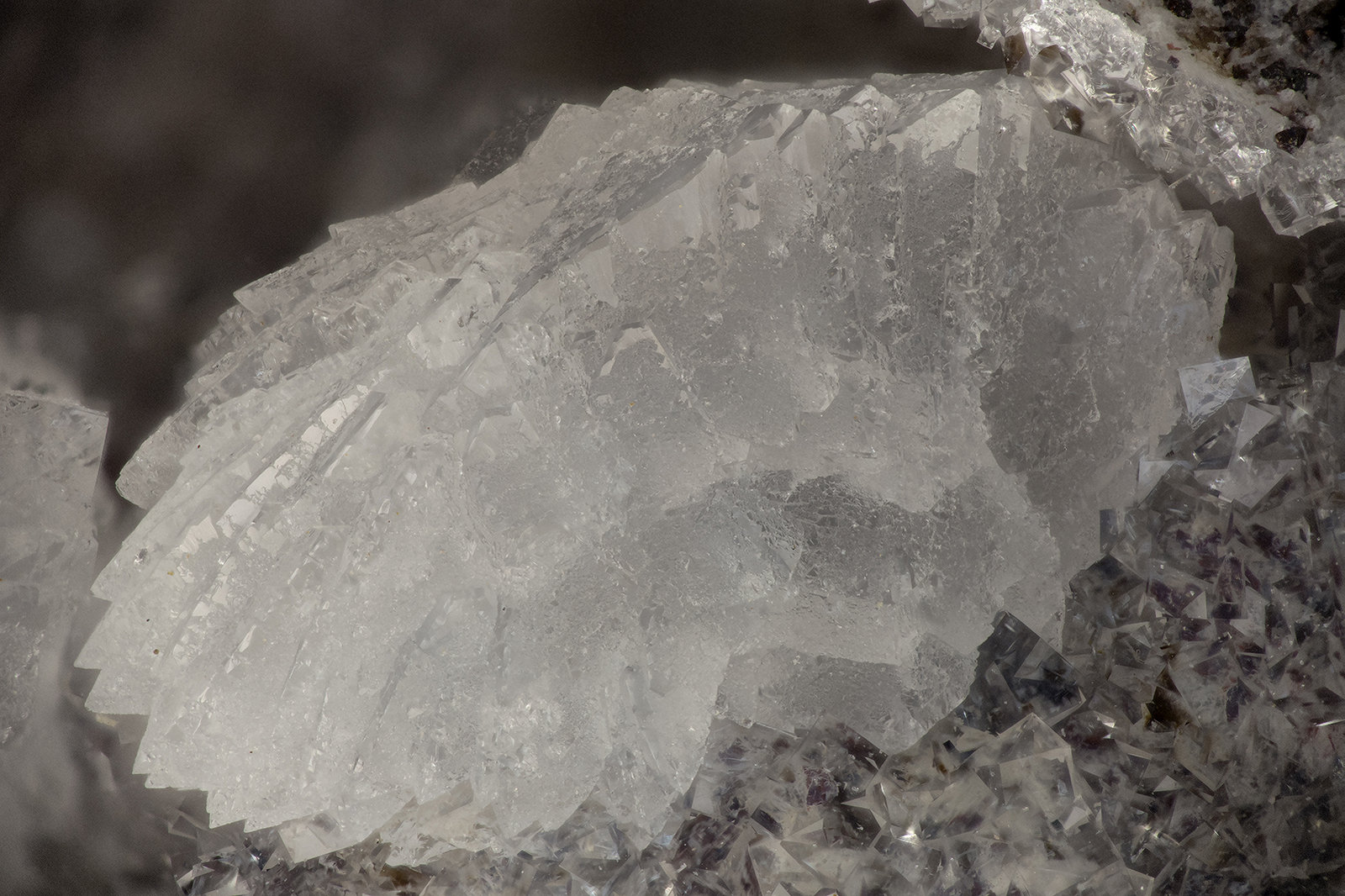 Gismondine, 'Chabazite'
FOV = 3.7 mm
(Autor: Doug)