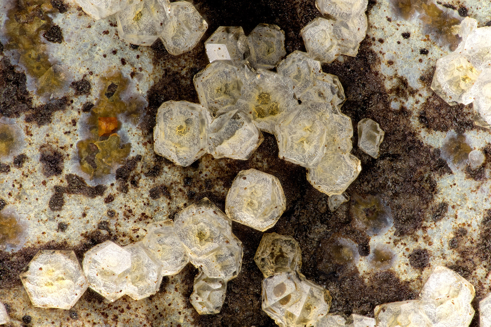 Paulingite-Ca
FOV = 3.4 mm
(Autor: Doug)