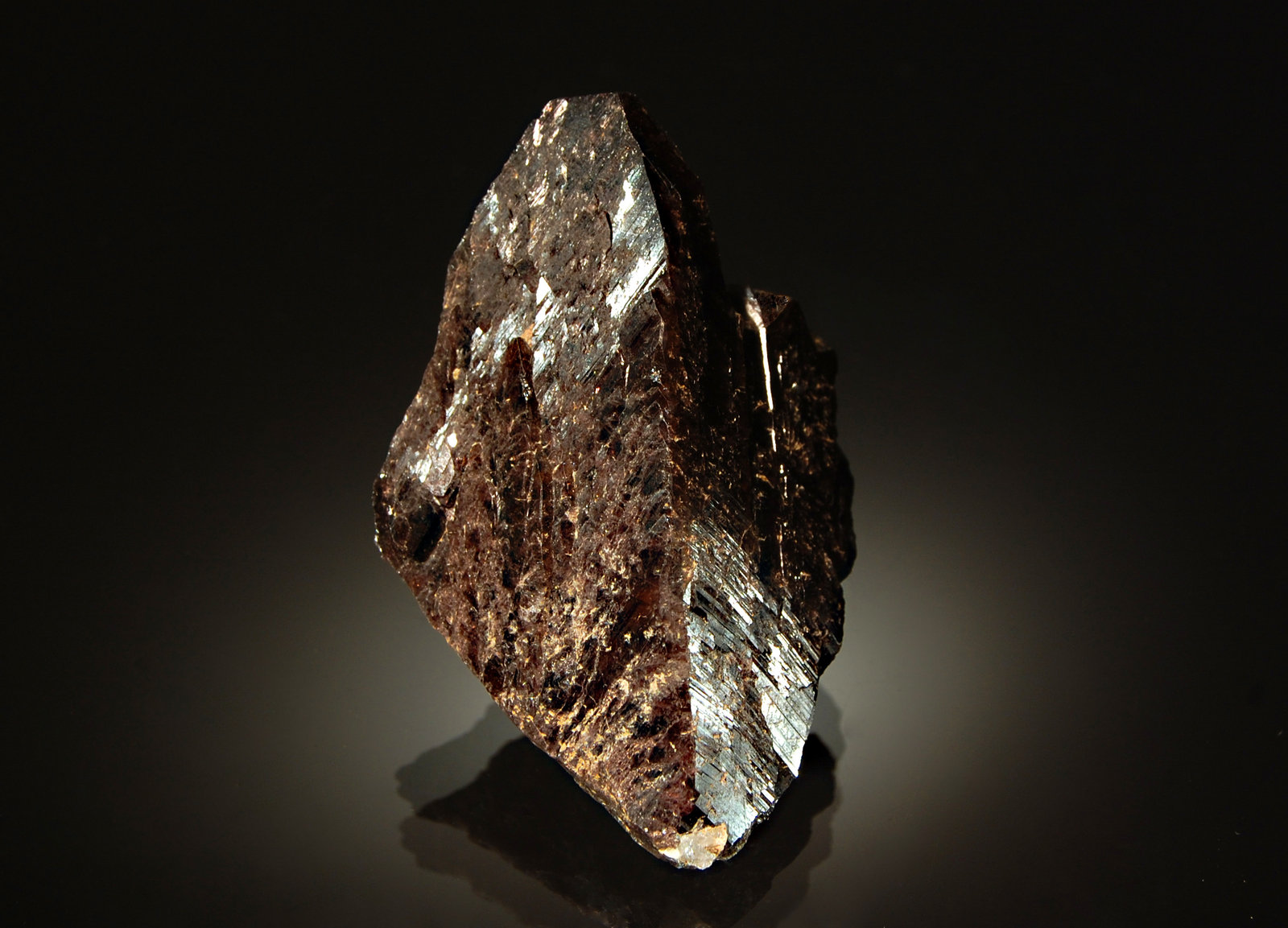 Axinite-(Fe)
4.0 x 6.0 cm
(Autor: Michael Shaw)