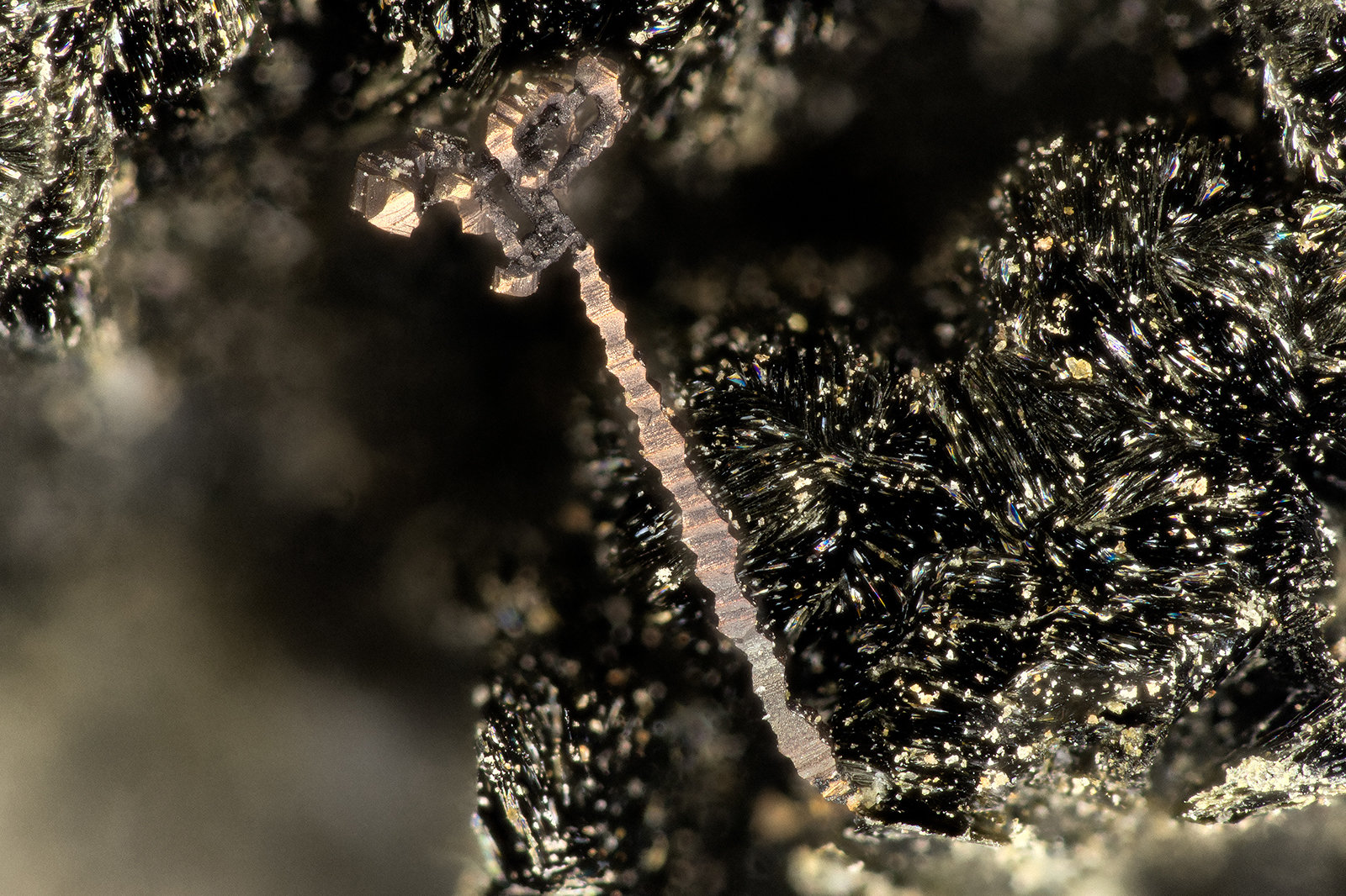 Copper
FOV = 2.7 mm
(Autor: Doug)