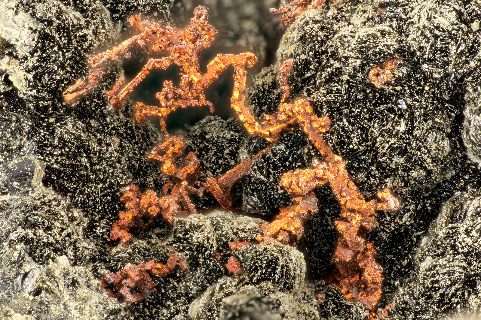 Copper
FOV = 3.5 mm
(Autor: Doug)