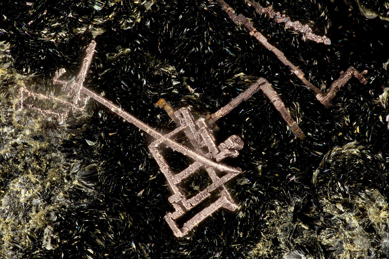 Copper
FOV = 3.4 mm
(Autor: Doug)
