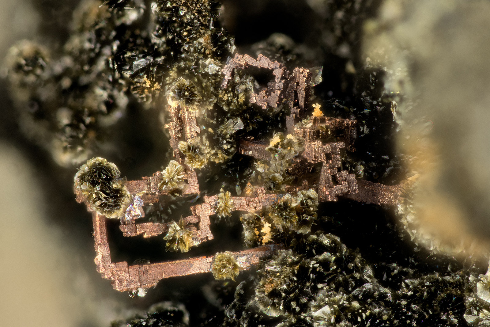 Copper
FOV = 2.5 mm
(Autor: Doug)