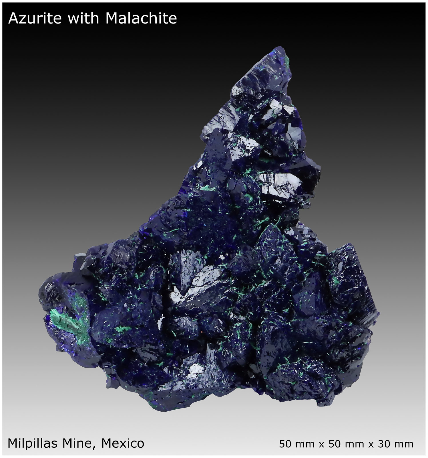Azurite with Malachite
50 mm x 50 mm x 30 mm
(Autor: silvia)