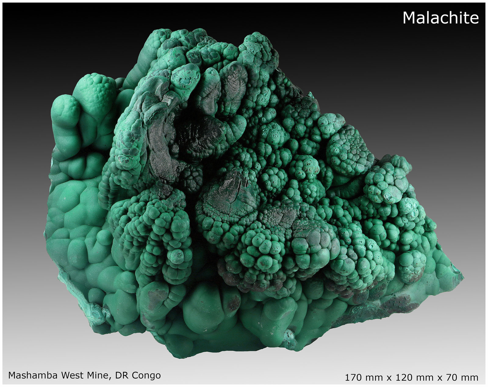 Malachite
170 mm x 120 mm x 70 mm
(Autor: silvia)