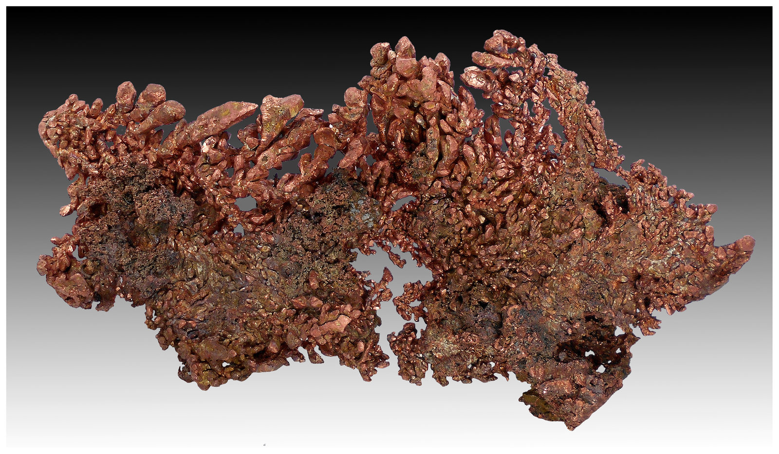 Copper
15 cm x 7 cm x 3 cm
(Autor: silvia)