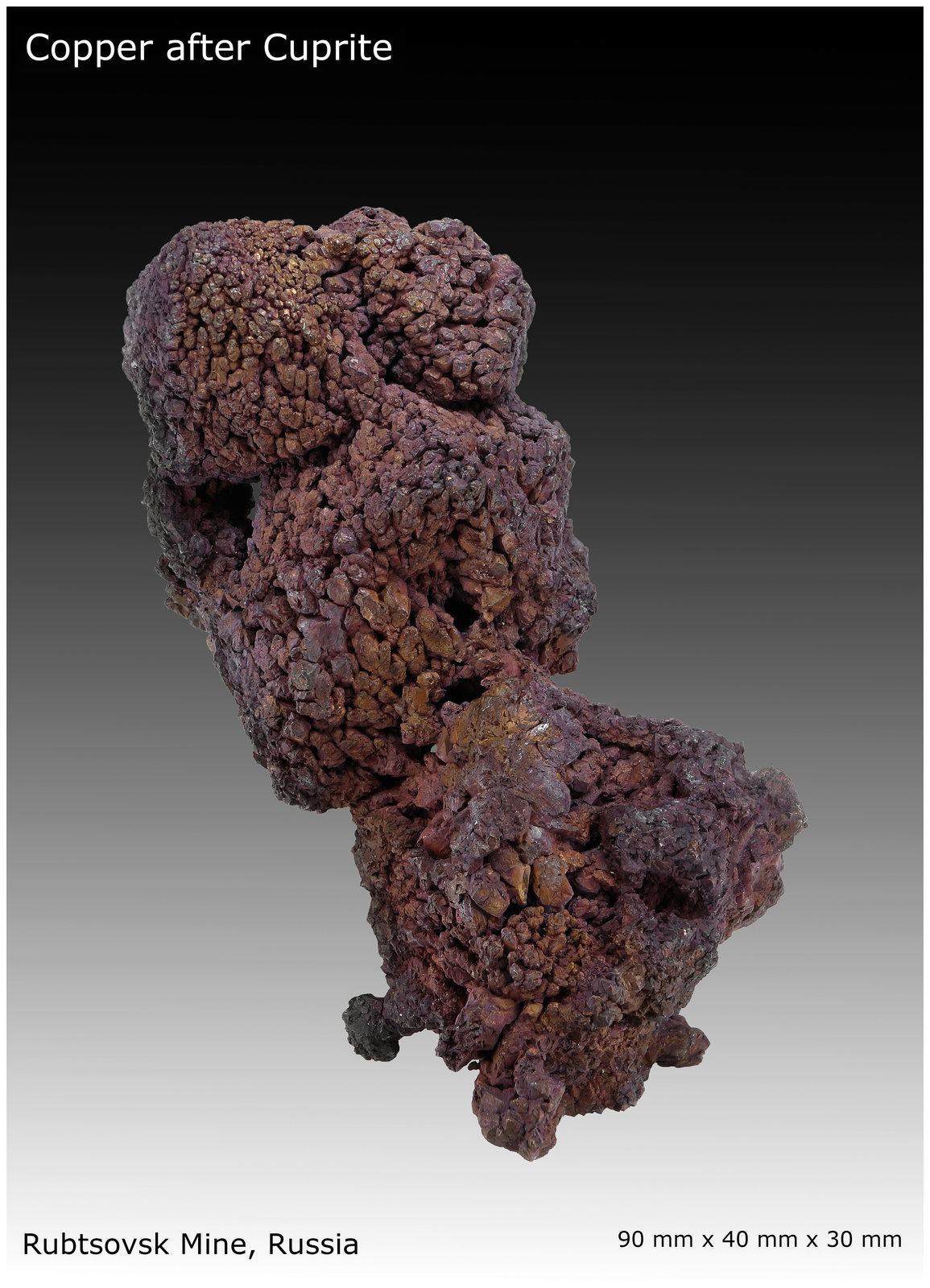Copper
90 mm x 40 mm x 35 mm
(Autor: silvia)