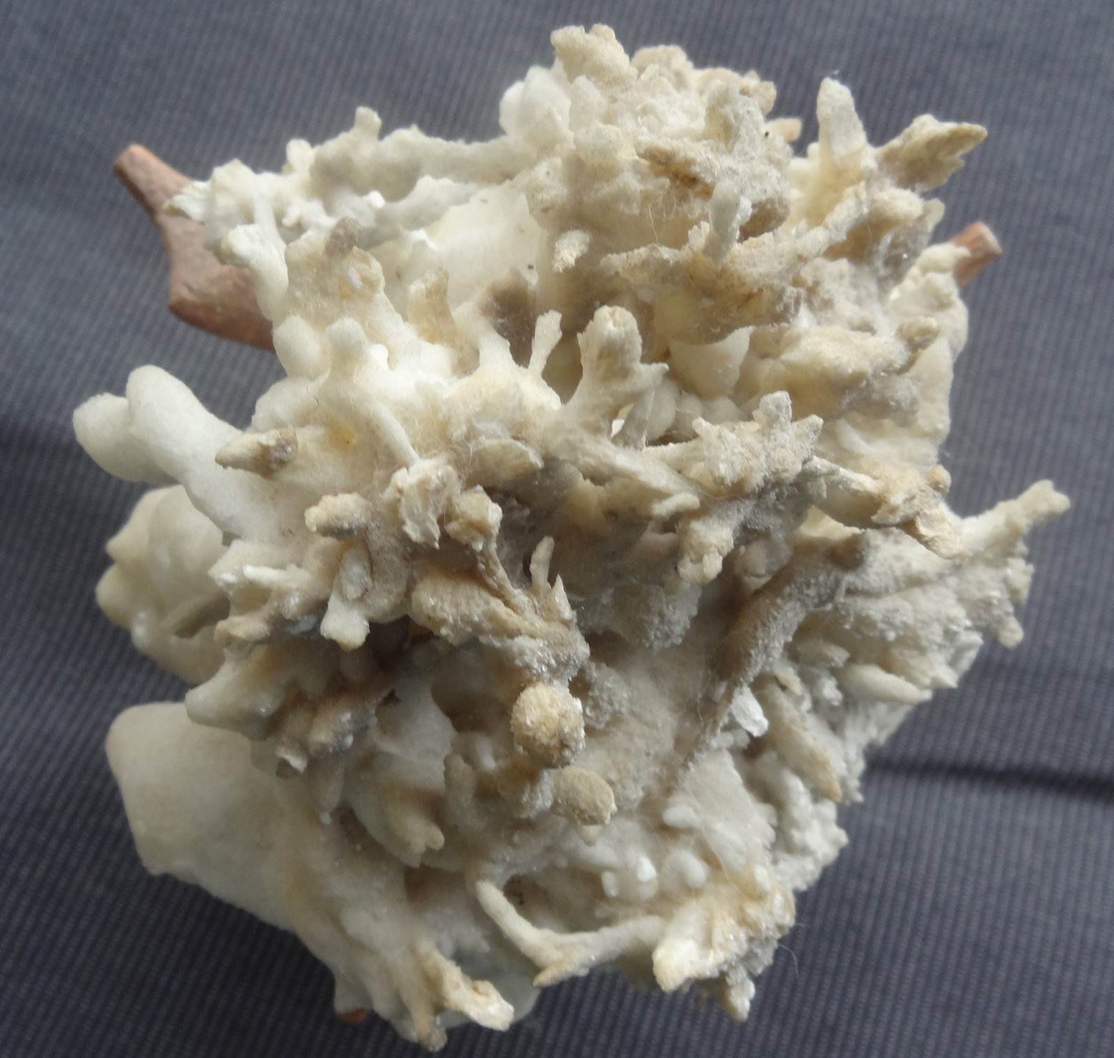 Aragonite (variety eisenblüte)
14x11x10cm
(Autor: Dave van Bladel)