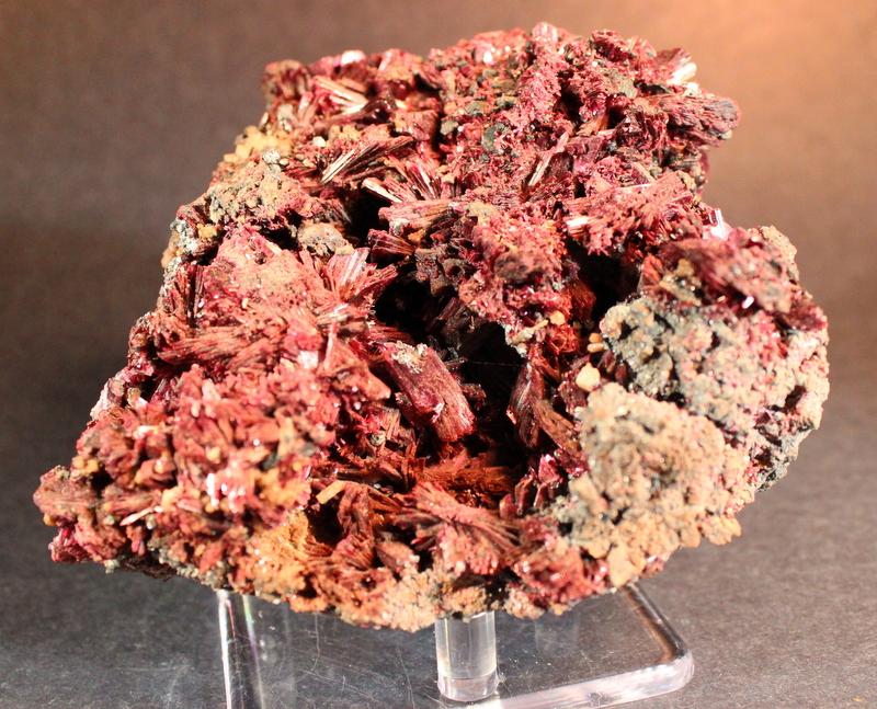 (Autor: Don Lum)