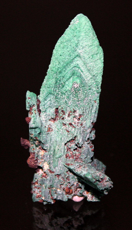Malachite pseudomorph after Azurite
5.2 x 2.6 cm
(Autor: Don Lum)