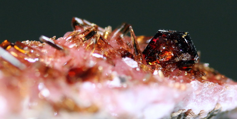 Shigaite
5.0 x 1.2 cm
(Autor: Don Lum)