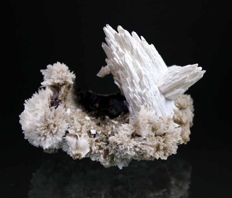Calcite, Strontianite
7 x 4 cm
(Autor: Don Lum)
