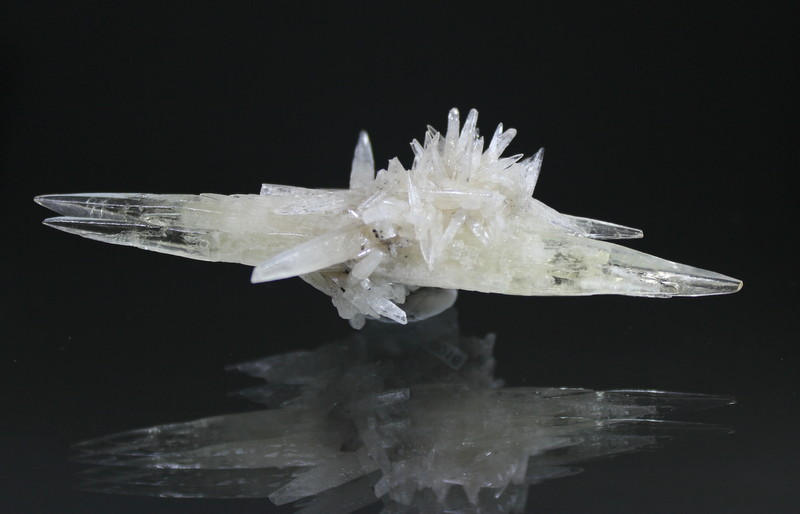 Calcite
9 x 5 cm
(Autor: Don Lum)