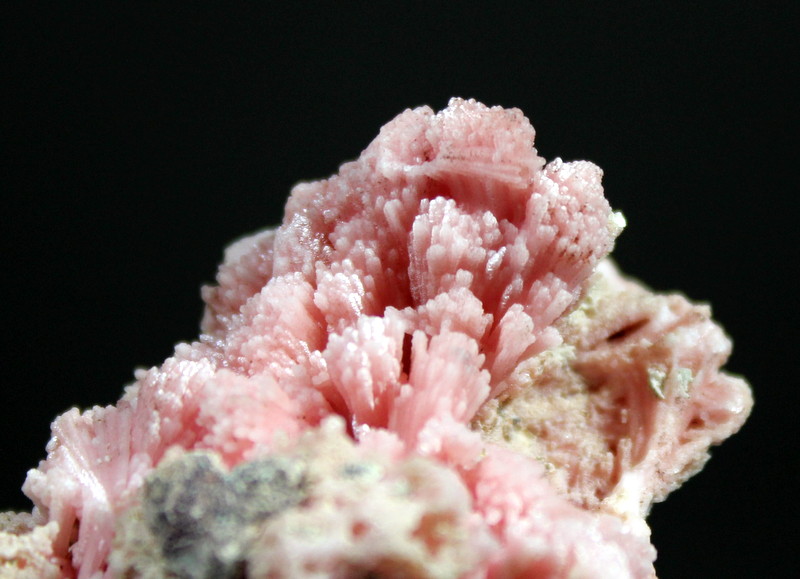 Rhodochrosite
6.5 x 4.5 x 4.0 cm
(Autor: Don Lum)