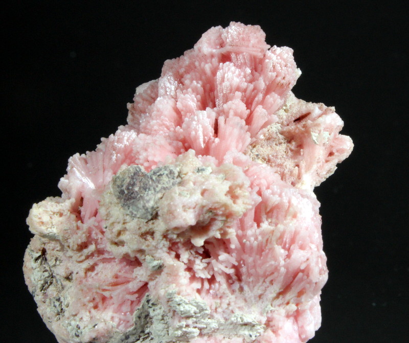 Rhodochrosite
6.5 x 4.5 x 4.0 cm
(Autor: Don Lum)