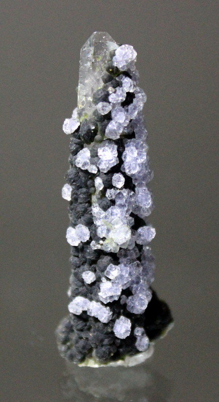 Fluorite, Quartz
5.6 x 2.1 cm
(Autor: Don Lum)