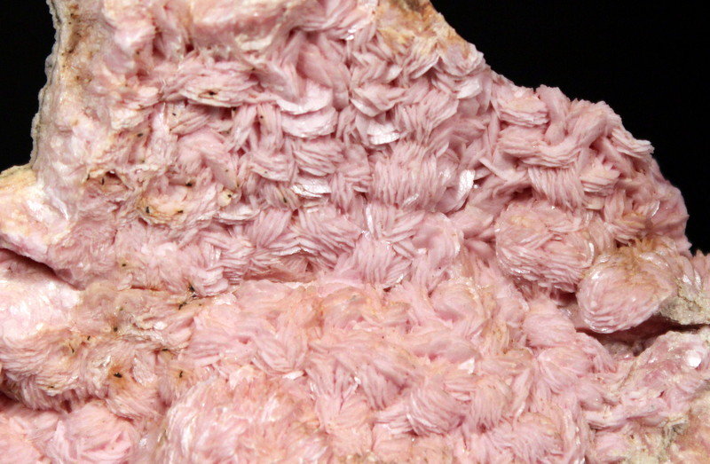 Rhodochrosite
7.9 x 7.1 x 3.0 cm
(Autor: Don Lum)