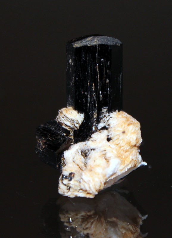 Arfvedsonite, Albite
3 x 2.2 x 2 cm
(Autor: Don Lum)