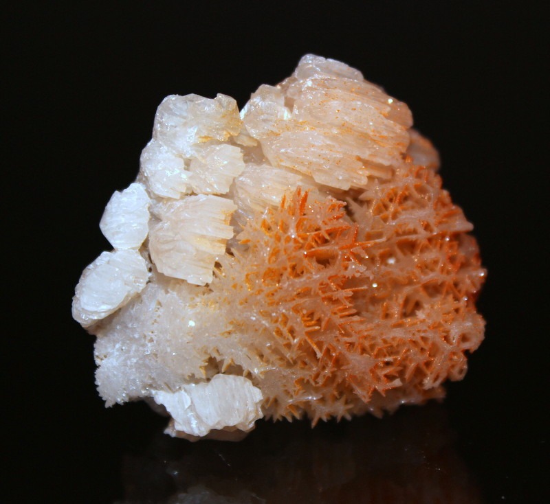 Mimetite, Cerussite
5 x 4.3 cm
(Autor: Don Lum)