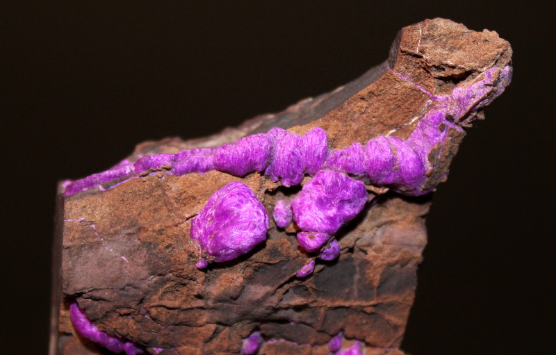 Sugilite
7.8 x 5.2 cm
(Autor: Don Lum)