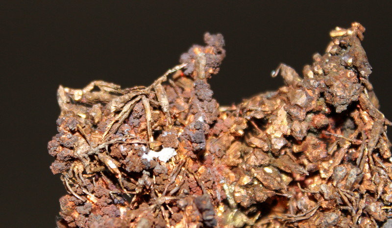 Copper
6.8 x 4.3 x 2.1 cm
(Autor: Don Lum)