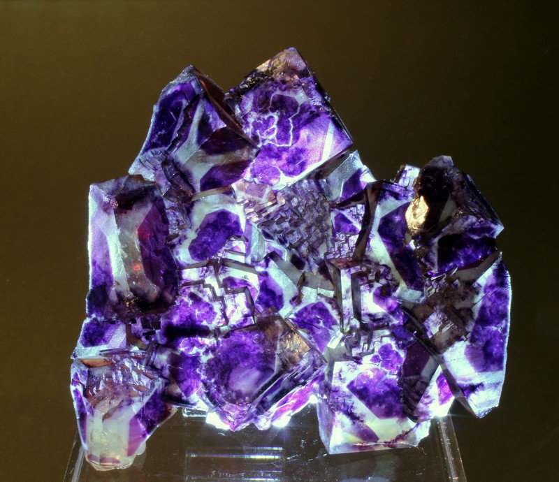 Fluorite
8.3 x 7.2 x 2.5 cm
(Autor: Don Lum)