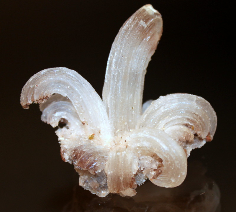 Gypsum
7.0 x 6.5 x 4.5 cm
(Autor: Don Lum)