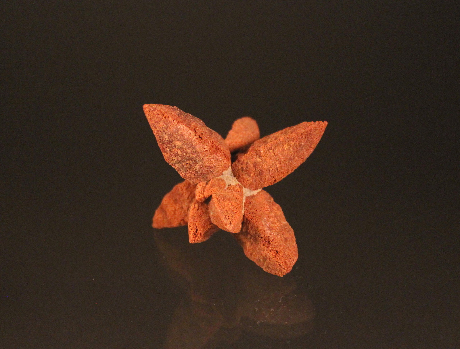 Calcite (variety glendonite) after Ikaite
57mm x 54mm
(Autor: Don Lum)