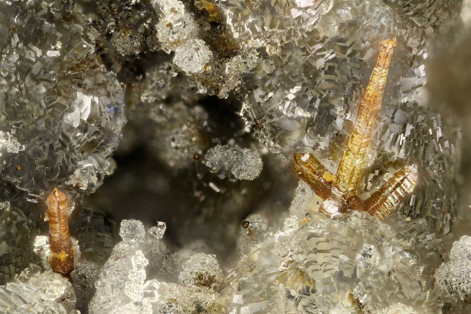 Pyrite, Clinoptilolite-Na
FOV = 2.6 mm
(Autor: Doug)