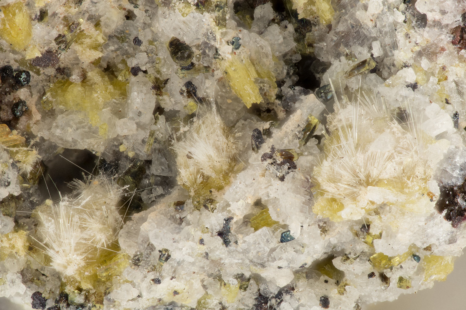 Aegirine
FOV = 3.1 mm
(Autor: Doug)
