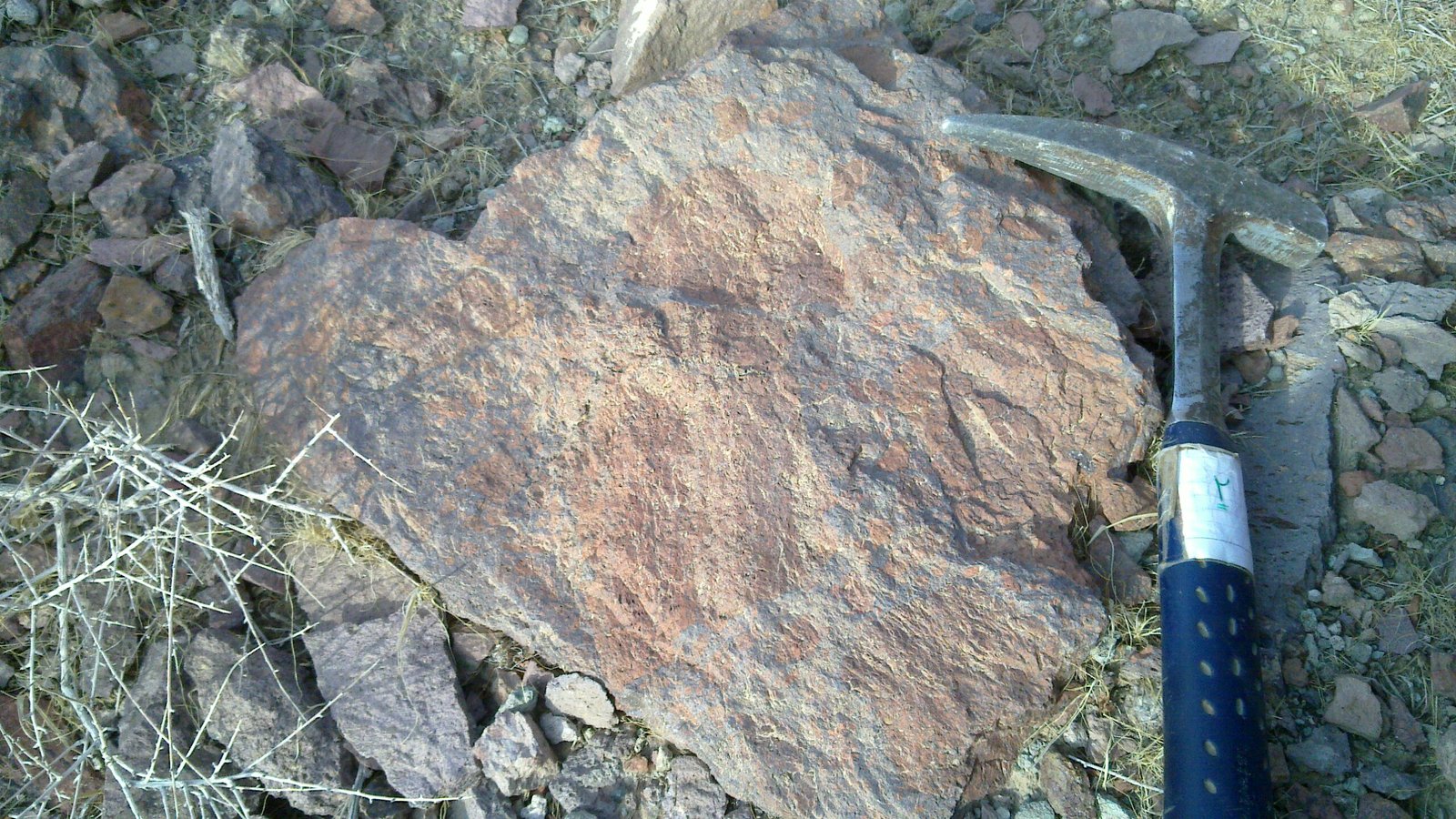 breccia ?
cm
(Autor: Reyhane)