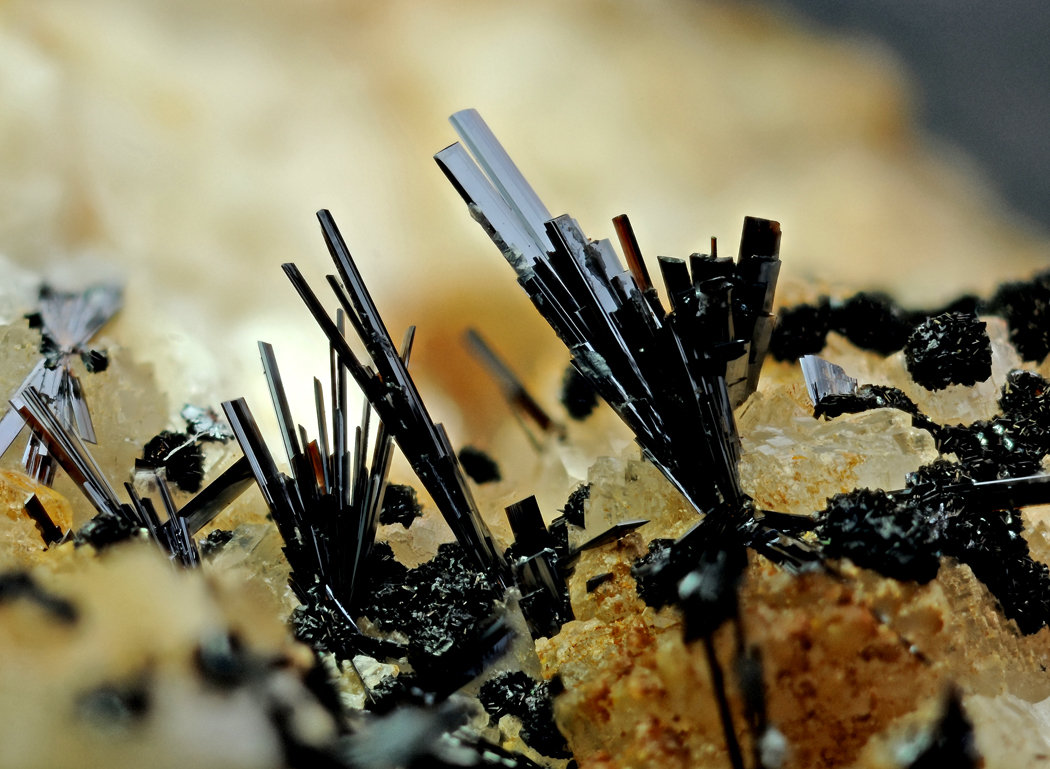 Goethite
FOV 6mm
(Autor: Carlos Pareja)