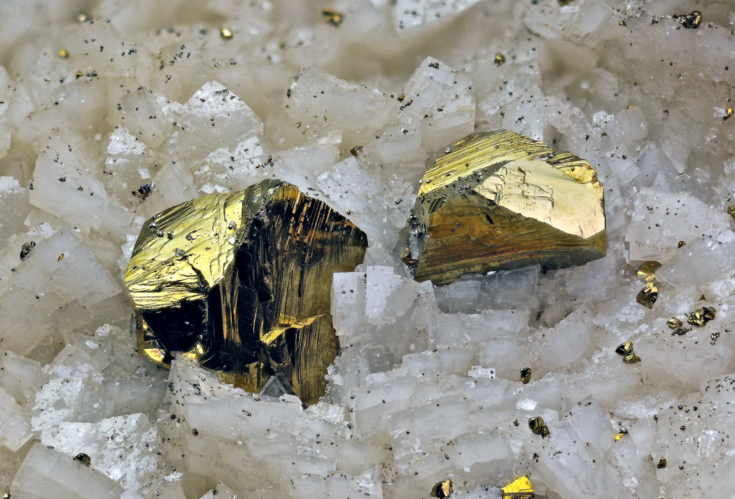 Chalcopyrite
FOV 15mm
(Autor: Carlos Pareja)