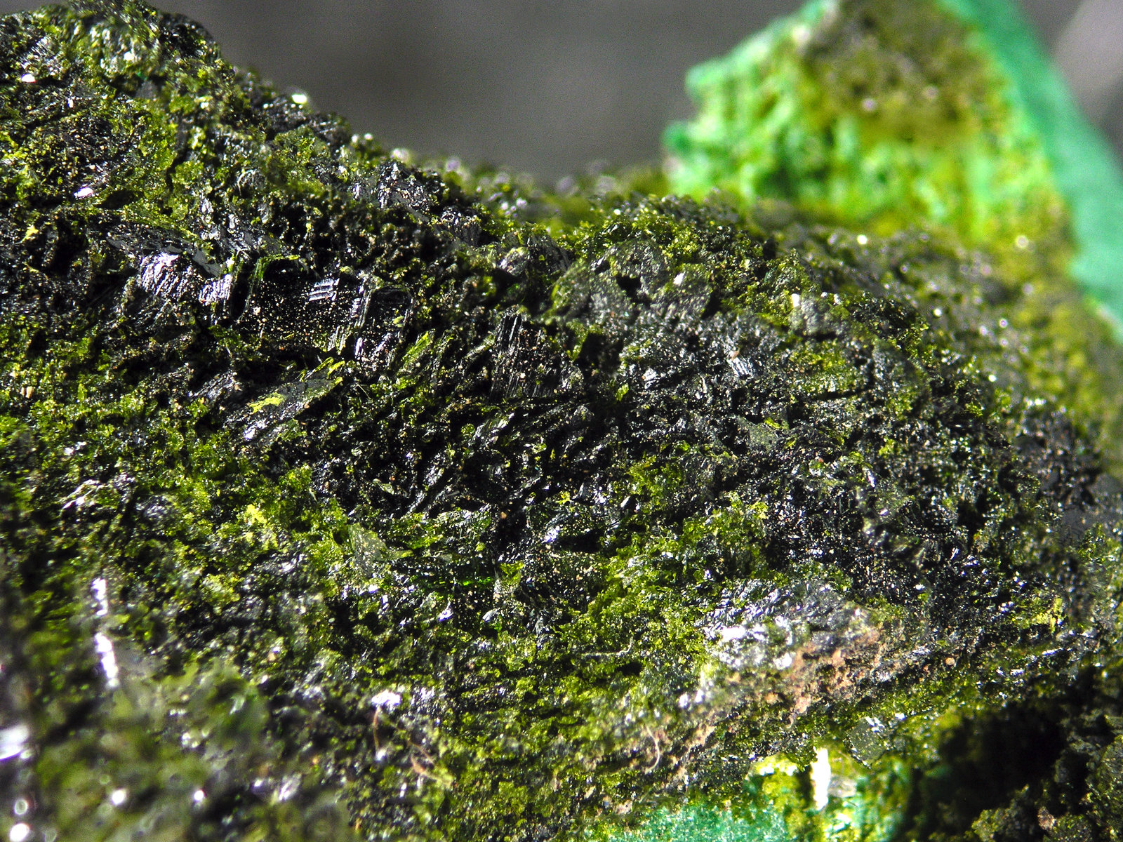 Volborthite
FOV 1.2 cm
(Autor: Cesar M. Salvan)