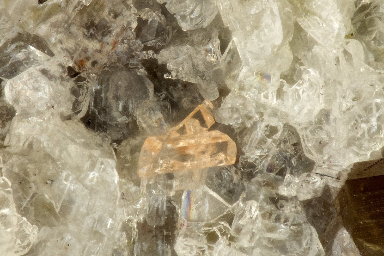 Zircon
FOV = 0.8mm
(Autor: Doug)