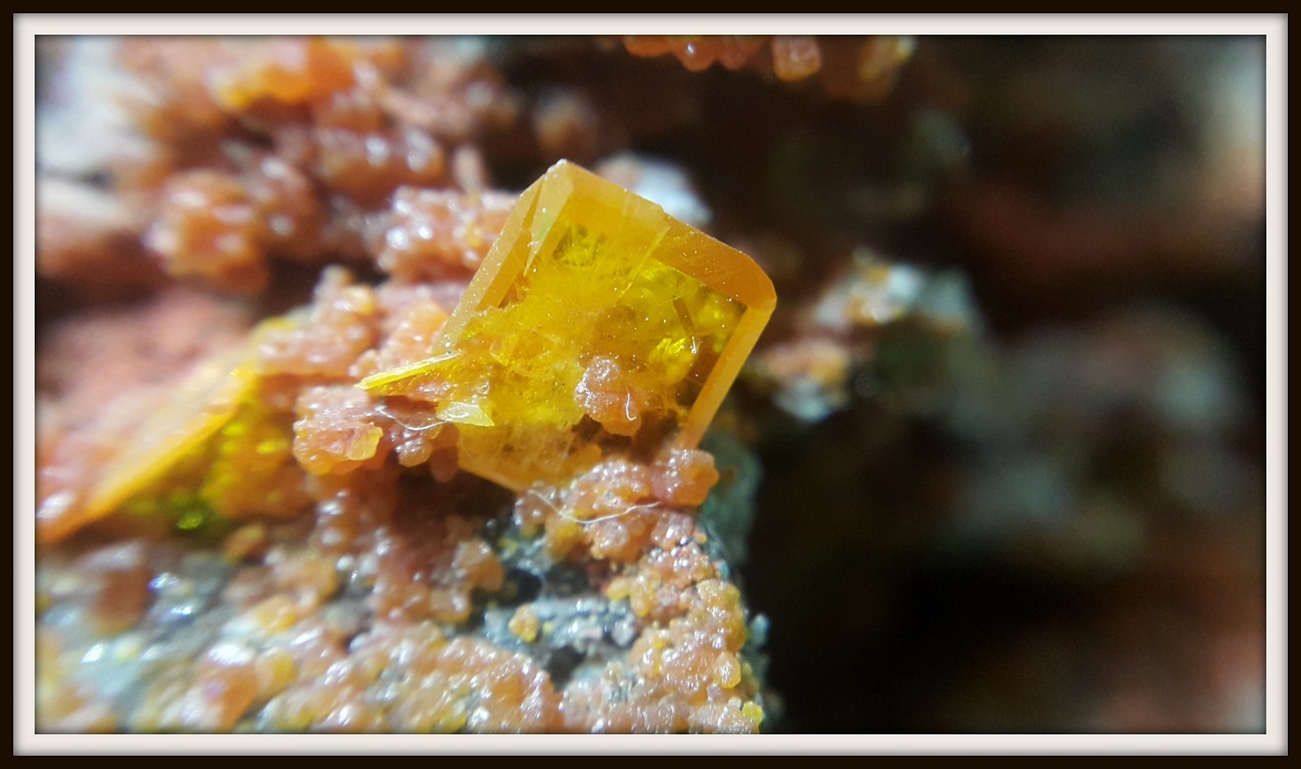 Wulfenite
4.5 mm
(Autor: h.abbasi)