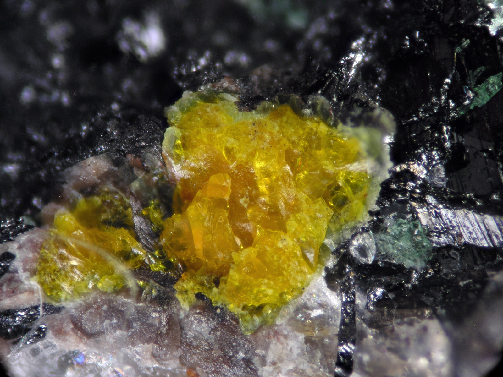 Becquerelite
FOV 0.5 cm
(Autor: Cesar M. Salvan)